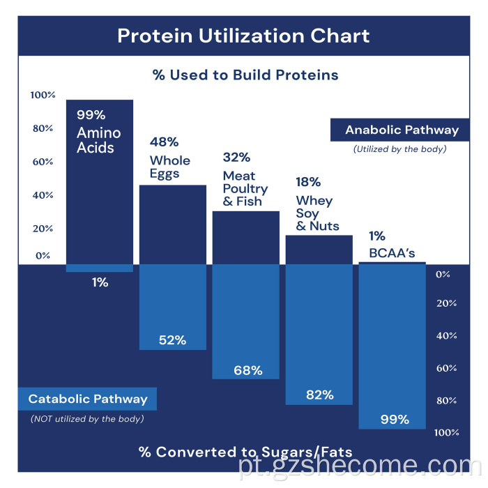 Comprimidos de aminoácidos premium suportam força muscular